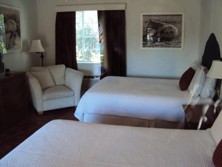 La Siesta Motel Tucson Room photo