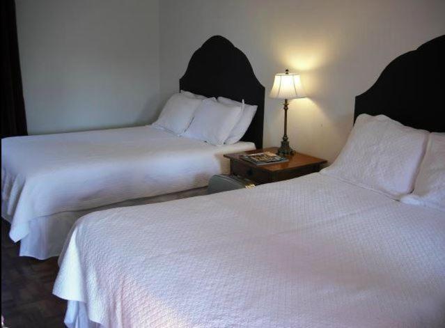 La Siesta Motel Tucson Room photo