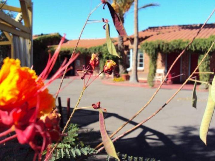 La Siesta Motel Tucson Exterior photo